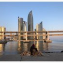 대교풍천민물장어 이미지