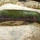 바로떡방 이미지