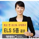 [대우증권][대우증권 / 최고 연 25.02% ELS 4종 공모.증권주 비중 높여야 할때..] 이미지