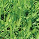 남양주나무요양병원 이미지