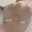 제이에이치주식회사 - 2526 | 샵한현재 프렙선쿠션 - 자외선차단과 베이스를 한번에, 여름 썬쿠션 추천 (속건조 예민피부 솔직사용후기)