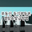 위드미공인중개사사무소 이미지