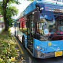 일신모터스 이미지