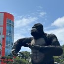 르컬렉티브 여수 이미지