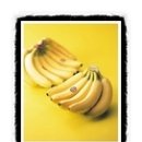 한서생물 이미지