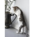 반도맨션 앞 이미지