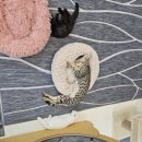 냥이는꿀꿀 이미지