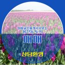 토지공인중개사사무소 이미지