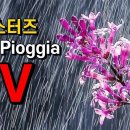 펄 시스터즈 [비] Pearl Sisters 'La Pioggia' '라 피오자' 'Rain' 배인순 배인숙 가사 한글자막 질리오라 칭 이미지