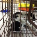 한겨례신문사 이미지