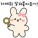 스테이서화 이미지