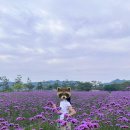 청자목장 이미지