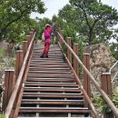 대전둘레산길(11구간) 이미지