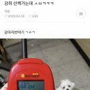 우사기 - 강서구 마곡중앙로 161-8 | 우사기