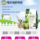 에코사료 네이버블로그