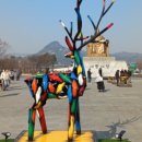 인앤박외국어번역행정사사무소 이미지