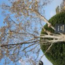 문화로소통-경주이야기 | 경주 여행 첨성대 미디어 아트쇼 시간 &amp; 명당 총정리 낮보다 화려한 밤의 신라