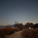 다산생태공원 공중화장실[능내-1] | 다산생태공원 야간 산책 - 정약용의 숨결이 남은 남양주의 고요한 새벽 (+ 주차 대중교통 근처 여행 코스)