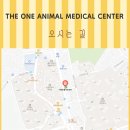 더원동물의료센터 이미지