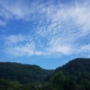 고운결한의원 | 고운결한의원 내 손등 건선치료,후기 건선이라니 ㅋㅋ