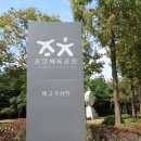 체육공원길 Daum카페