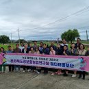 남원종자 이미지