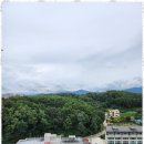 강릉 수 공인중개사사무소 이미지