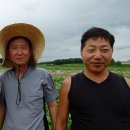 흥부 농장 이미지