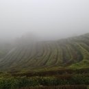 화봉중학교 이미지