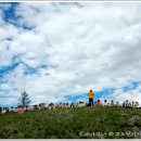 여보여보야 이미지