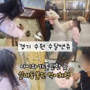 힐존 오락실 앤 뽑기방 | 수원 아이랑 가볼만한곳 추천 수달앤쥬 실내동물원 먹이체험