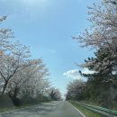 산록남로입구