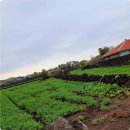 한땀두땀 손바느질 이미지