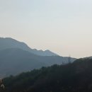 이승농장 이미지