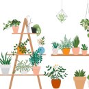 다육이 아트(A) 이미지