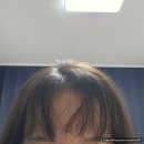 국립암센터 앞 정류장 | 마두동 미용실 ㅣ 벨유헤어 ㅣ 밤리단길 미용실 ㅣ 스타일링 후기