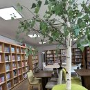 원효로2동 주민센터 이미지