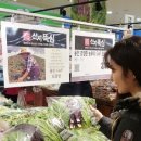 산지뚝심 이미지