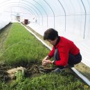 달래농장 이미지