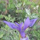한톨