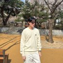 지오송지오 25SS 셈블런스 브이넥 아이보리 니트 후기