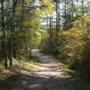 해오름자연요양병원 이미지