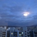 이루다팜 이미지