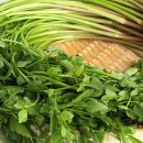 한재골가든 이미지