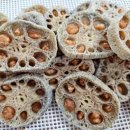 윈앤코 강아지 수제간식점 이미지