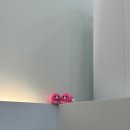 웰빙알쌈쭈꾸미 이미지