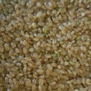 서도정미소 이미지