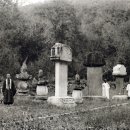 순천-65호 이미지