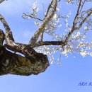 장흥장평중학교 이미지