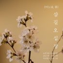 마켓미소 이미지